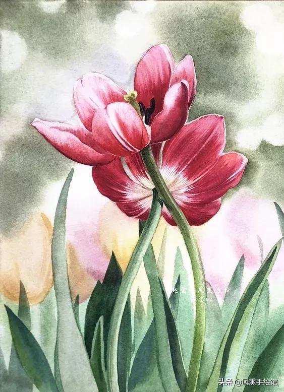 怎么用水彩笔画郁金香教程,粉色水彩郁金香怎么画图片