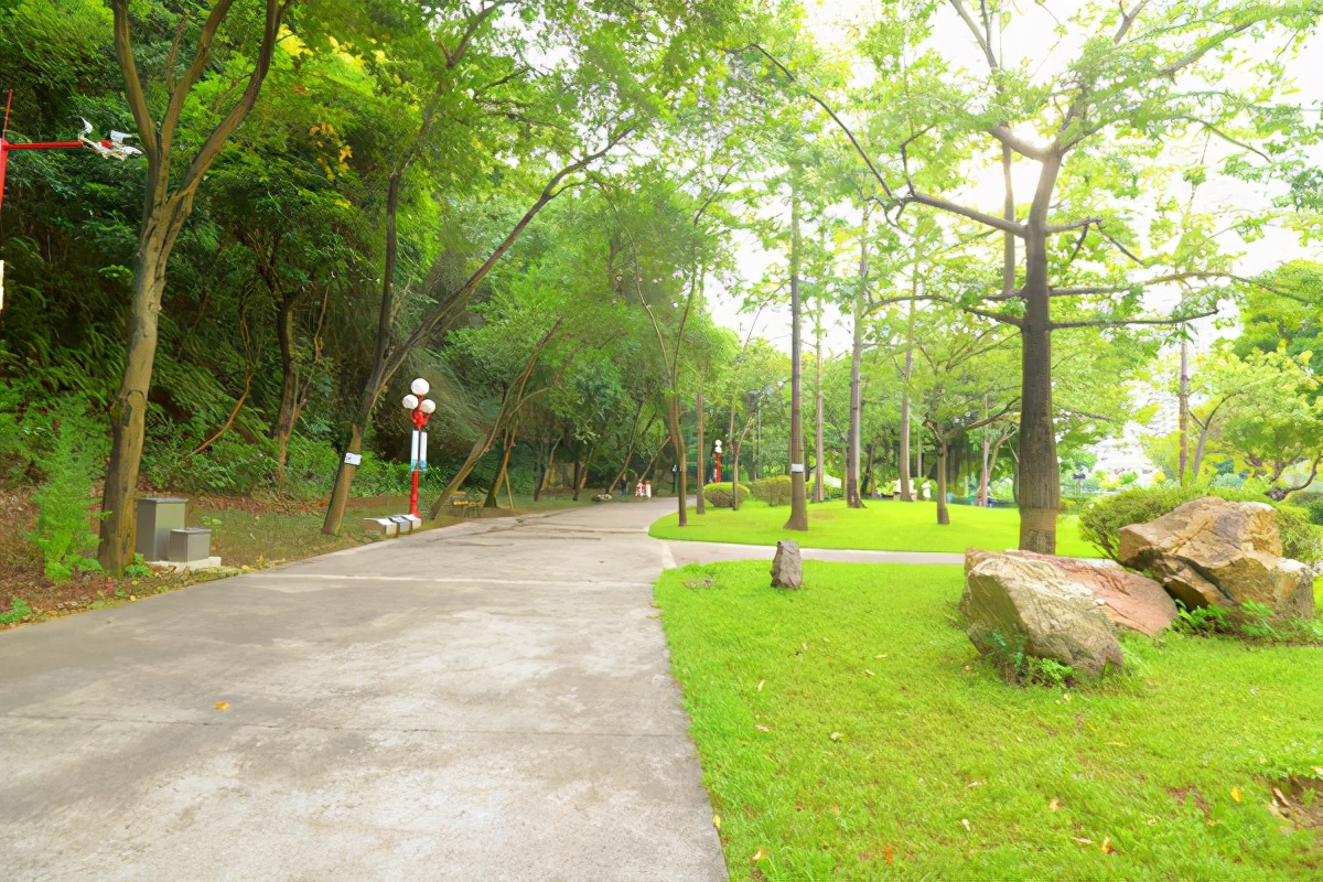 湿地公园菊展在哪,中山菊展一日游