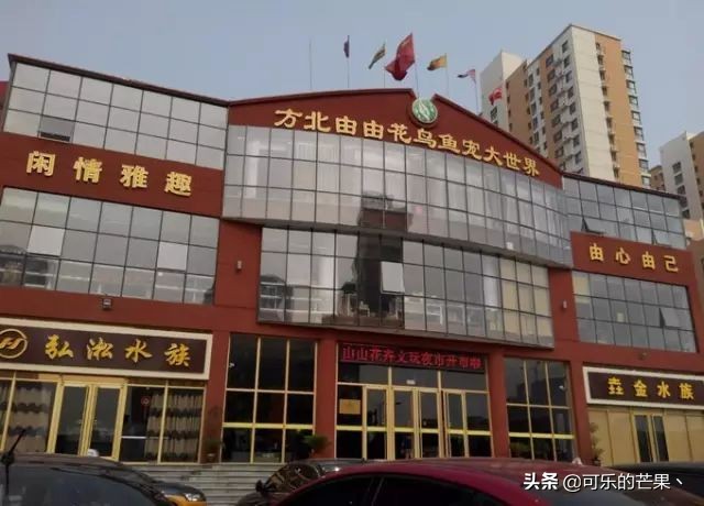 现在进石家庄批发市场要什么 (石家庄各个批发市场在哪)