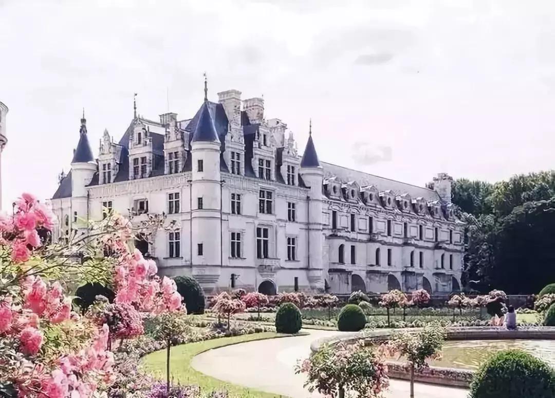 葡萄酒常见英文有哪些,葡萄酒常见英语术语