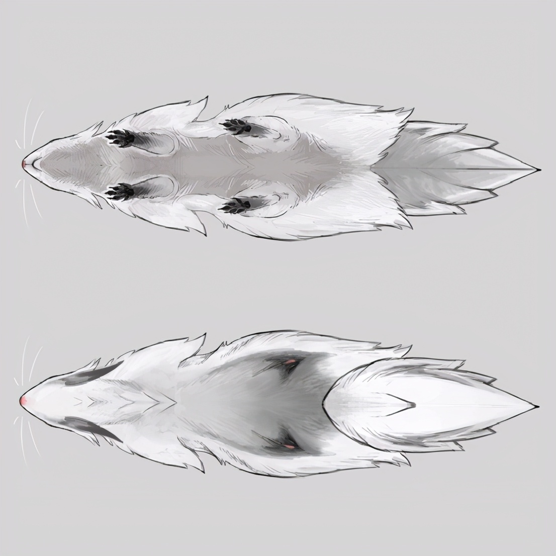 马车9什么时候上市,马车9