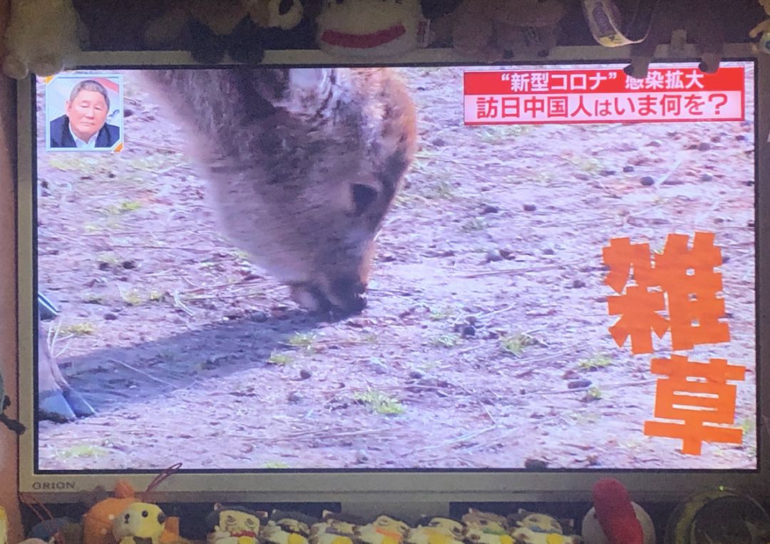 如果没有中国玩家会怎样,如果没有中国世界会是什么样