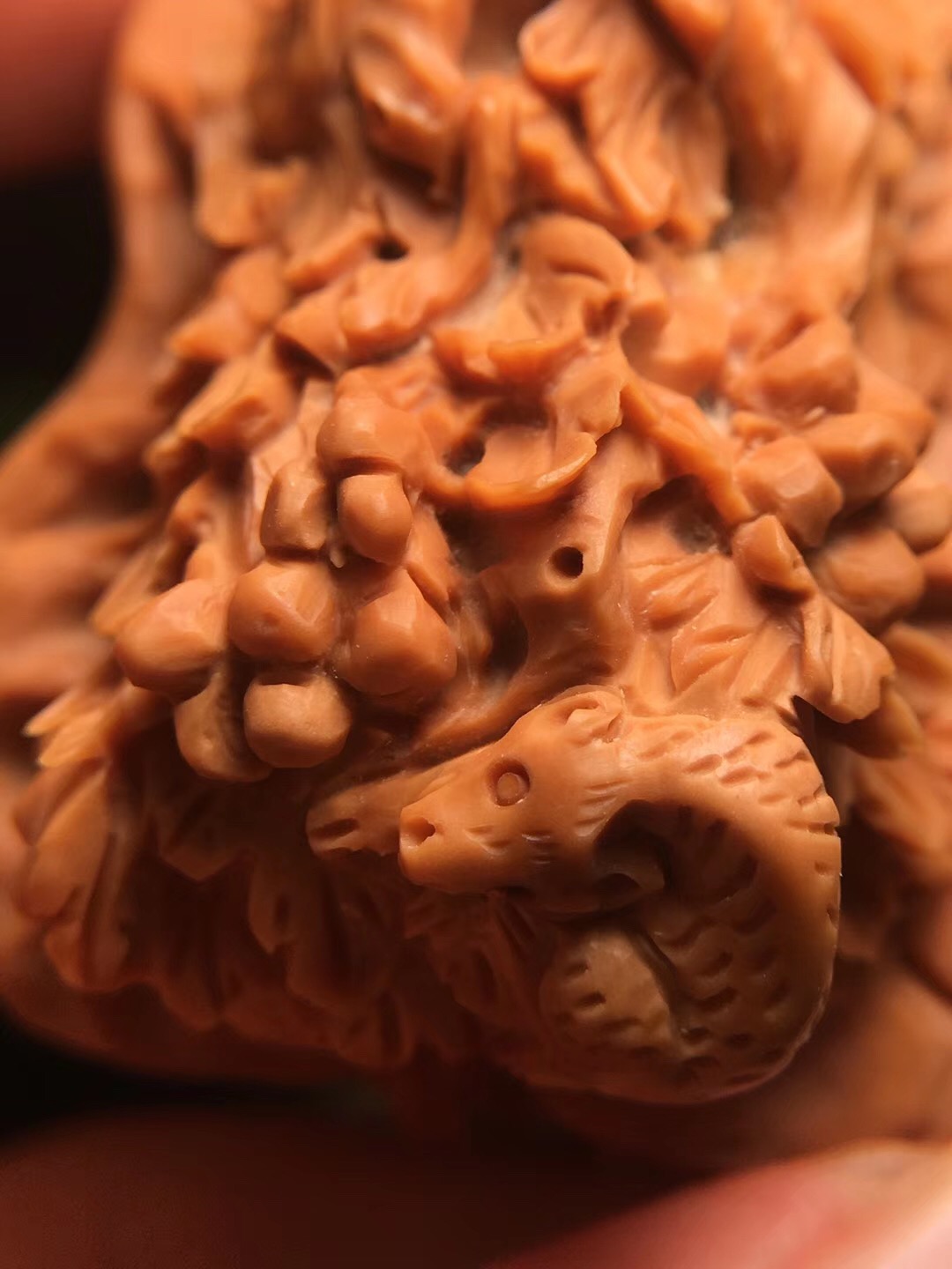 落地桃核发黑如何清洗,山桃核的正确清洗方法