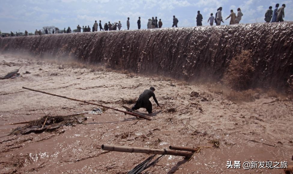 地球第六次生物大灭绝会怎么样,地球曾出现过几次物种大灭亡