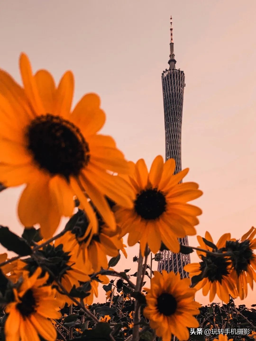 摄影人像色彩修图教程,摄影六种配色方法