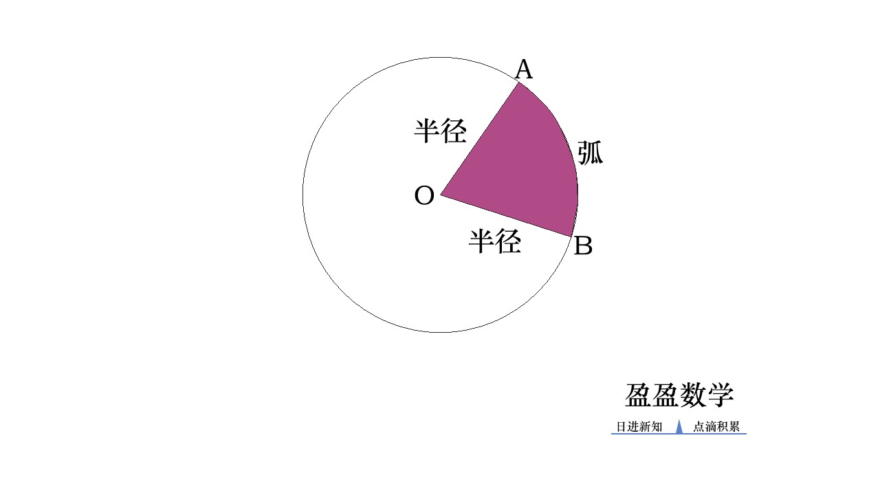 六年级上册数学第五单元扇形讲解,六年级的数学第5单元扇形