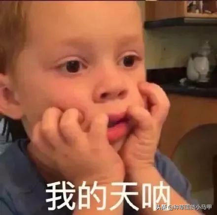 假代购真实案例,假代购常用骗术揭秘