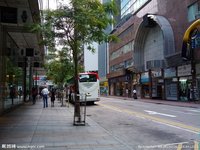 观察乐趣作文300字,趣味体验作文400字