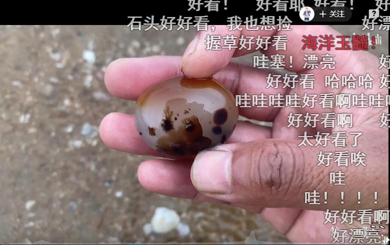 为何年轻人都在沉迷赶海视频,为什么大家都爱看赶海