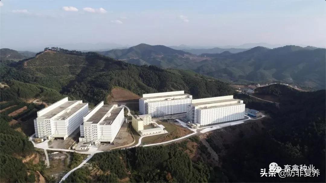 非瘟预防消毒,非瘟防控刻不容缓