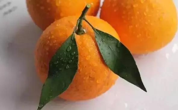 蒲江春见耙耙柑不知火丑柑,春见耙耙柑和耙耙柑有什么区别