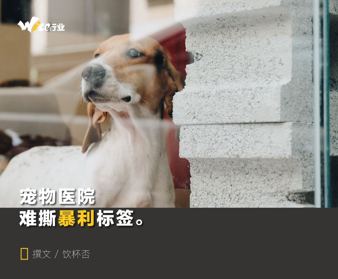 宠物医院生意赚钱吗,宠物医院生意经