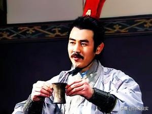 三国历史中钟会为什么要谋反,三国后期名将钟会