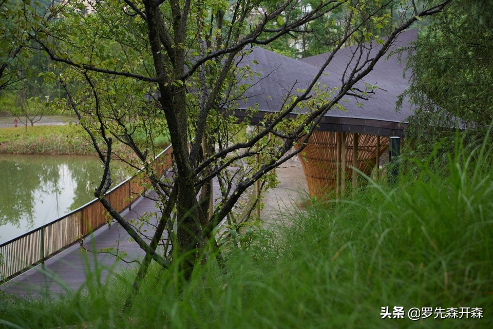 重庆武隆归原茶亭设计,武隆归原茶亭