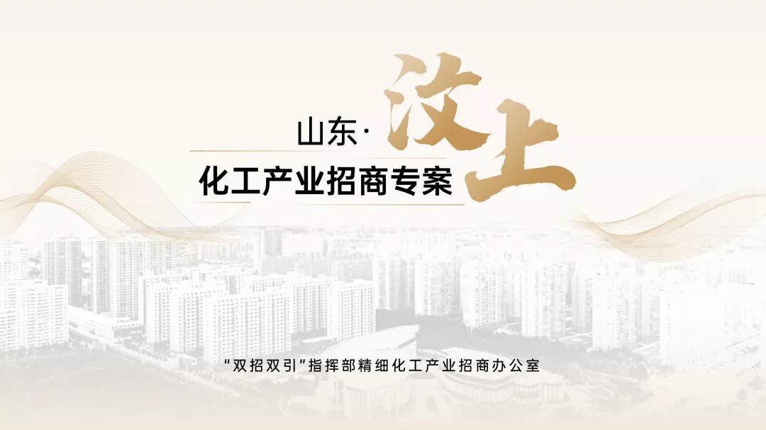 给粉丝制作ppt,为微商老板制作的ppt