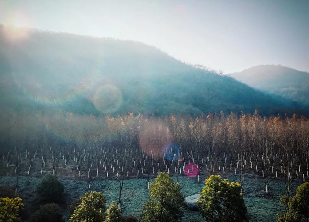 南京汤山哪里可以玩皮划艇,汤山矿坑公园三叠湖皮划艇