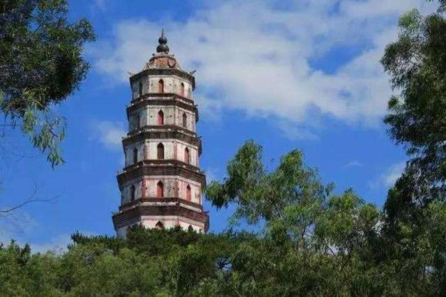 新会陈皮交易市场在哪,新会最大陈皮交易市场