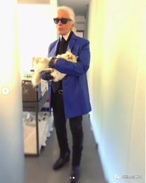 老佛爷的猫继承多少遗产,老佛爷去世后财产留给了一只猫