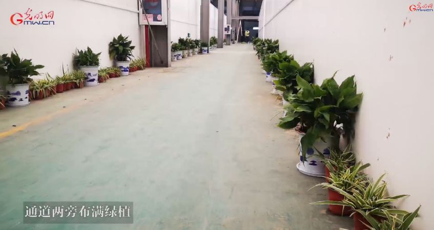 新冠肺炎治疗花费调查,天价新冠肺炎治疗费用