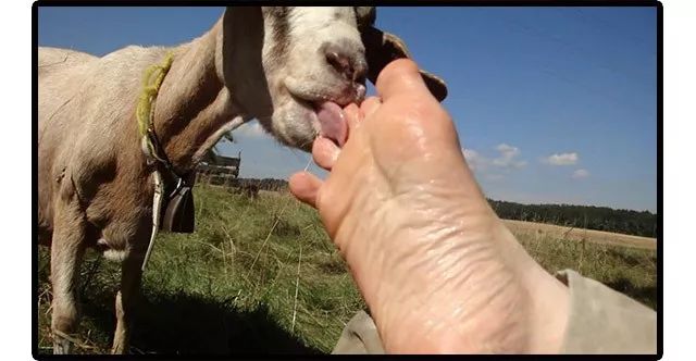 瀹堕噷灏忓寰堝枩娆㈡尃鐥掔棐鎬庝箞鍥炰簨,涓轰粈涔堜汉鍠滄鎸犵棐