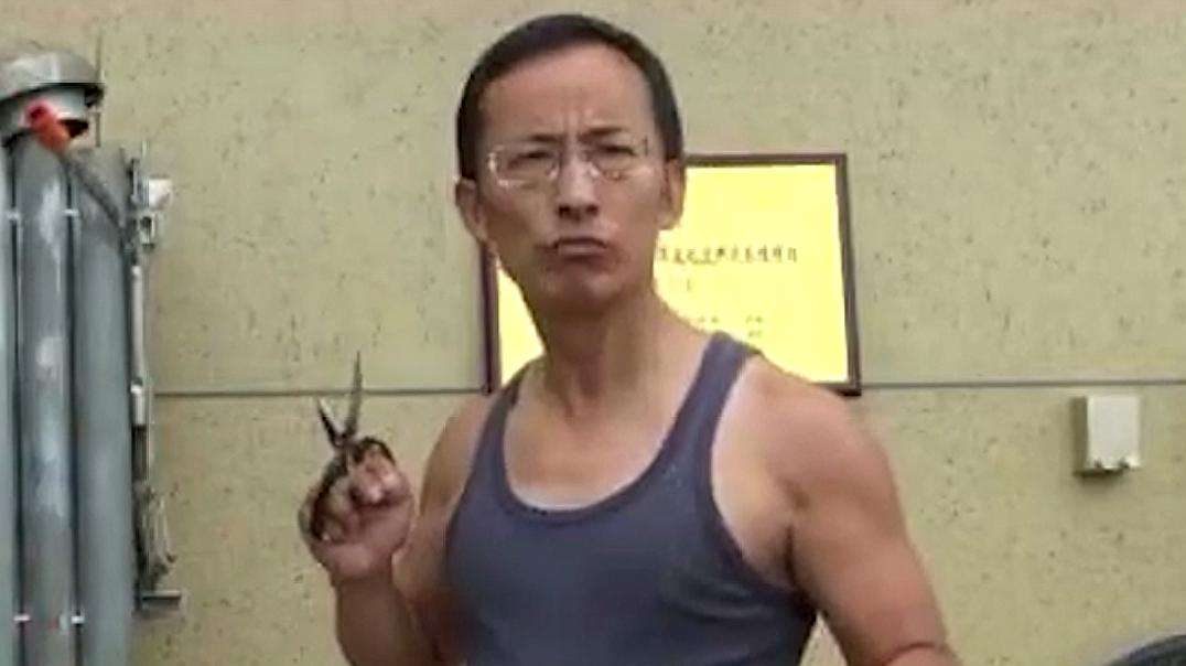 陈鹤皋的疯狗拳,疯狗拳陈鹤皋为什么没人敢打