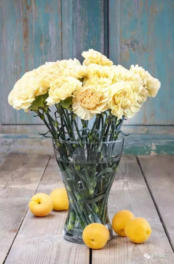 父亲节折什么花给父亲好,父亲节送给父亲什么