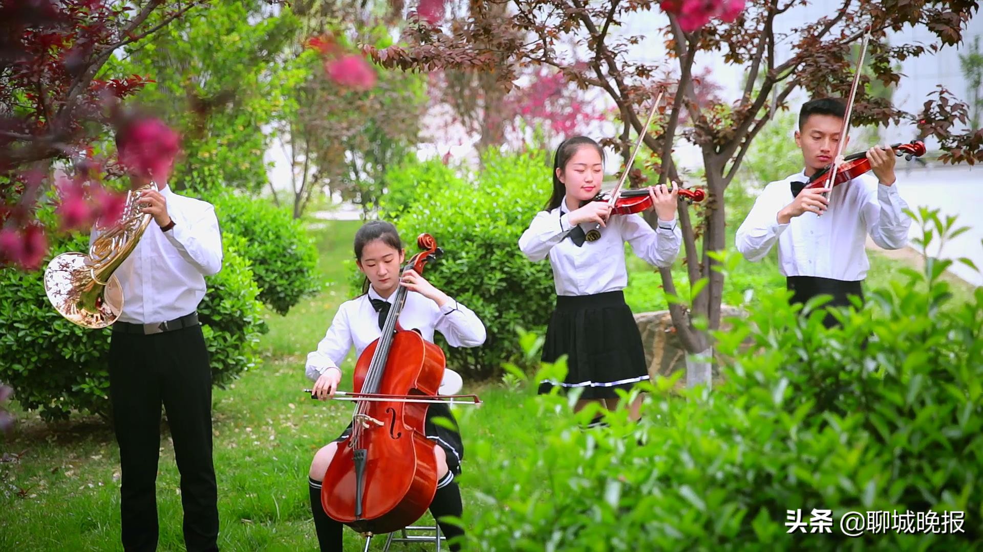 聊城一本上线率高的高中排名,聊城高中在山东排名第几