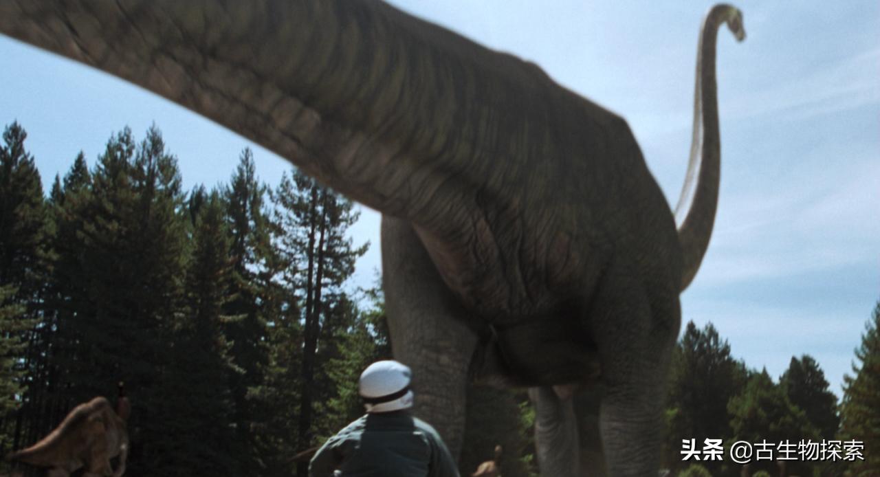 蜥脚类恐龙前十视频,蜥脚类恐龙排名