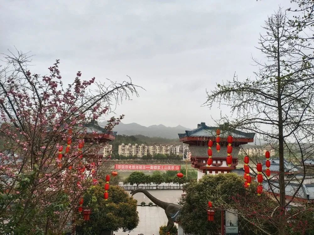 又是人间四月天踏青赏花正当时,正是人间芳菲时