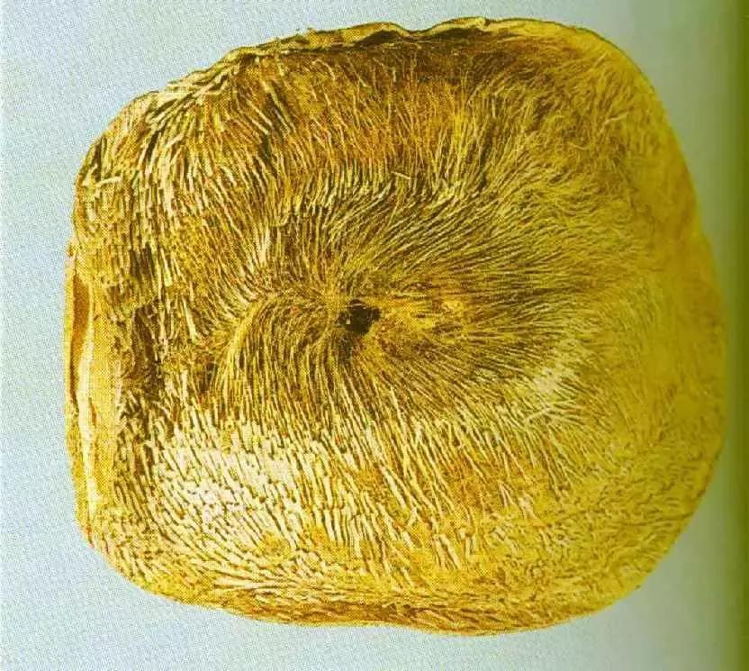 宫斗剧保胎药,宫斗堕胎药