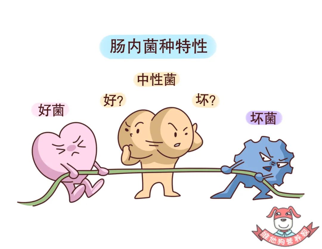 老是拉肚子放臭屁是怎么回事,最近老是拉肚子放臭屁是怎么回事