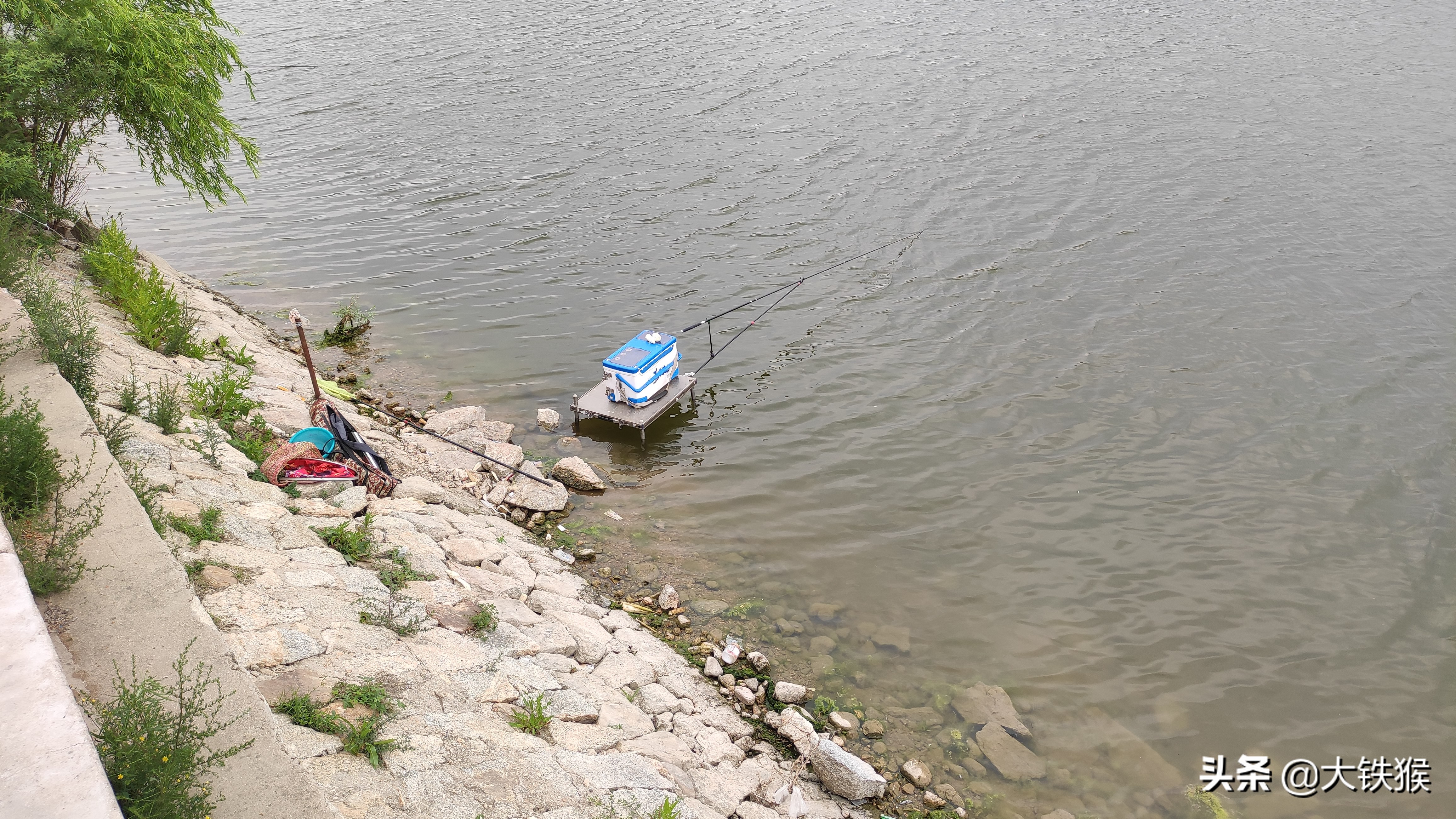 李大毛教你钓鱼用饵料,李大毛钓鱼用什么饵料最好