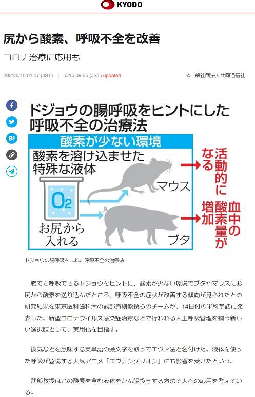 日本教授受到动画《EVA》的影响,研发了一种通过屁股呼吸的液体
