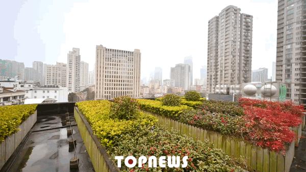 瞒不住了！魔都新晋小众创意园，随手一拍就是时尚大片