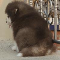 为了让我确认收货,这些卖家也是拼了