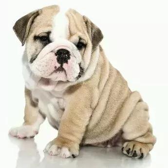 外地人听不懂天津话会怎样,天津人怎么学天津话