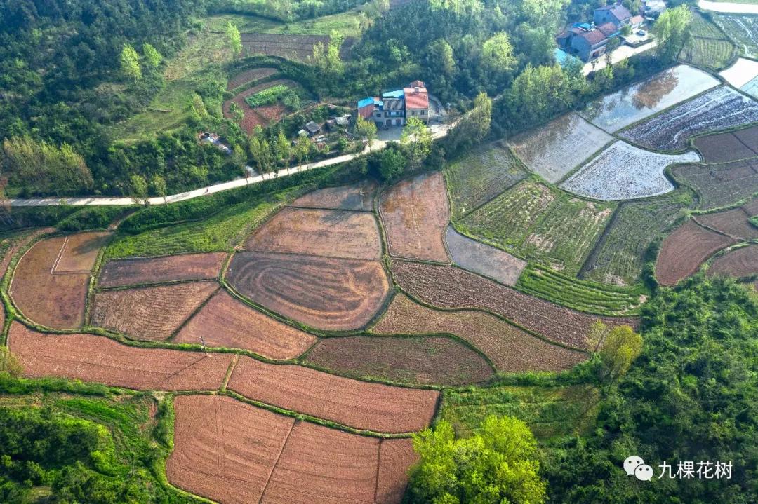 湖北襄阳谷城庙滩喻家湾,谷城县庙滩镇喻家湾村书记