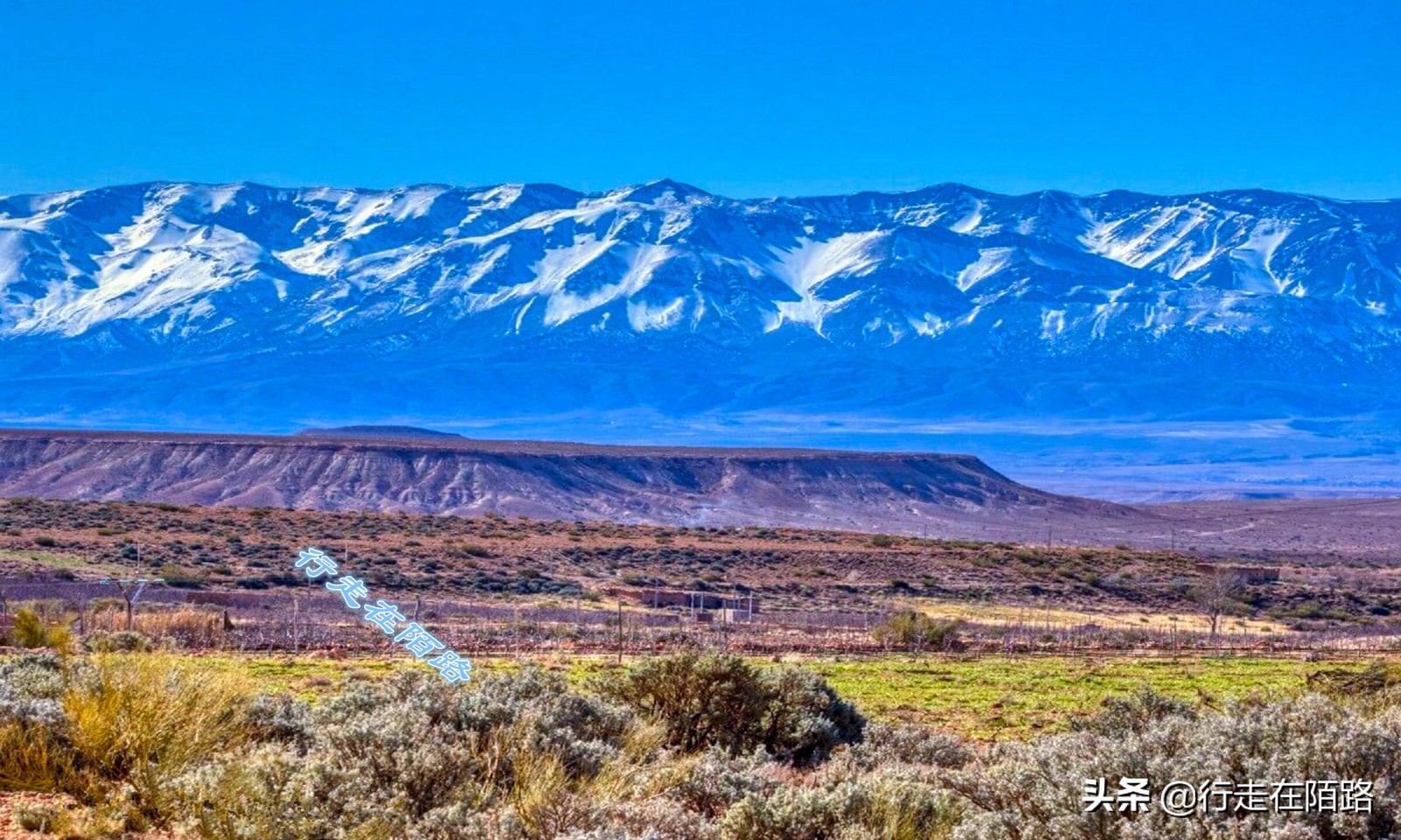 气候变暖引起的冰川变化,冰川大面积变暖