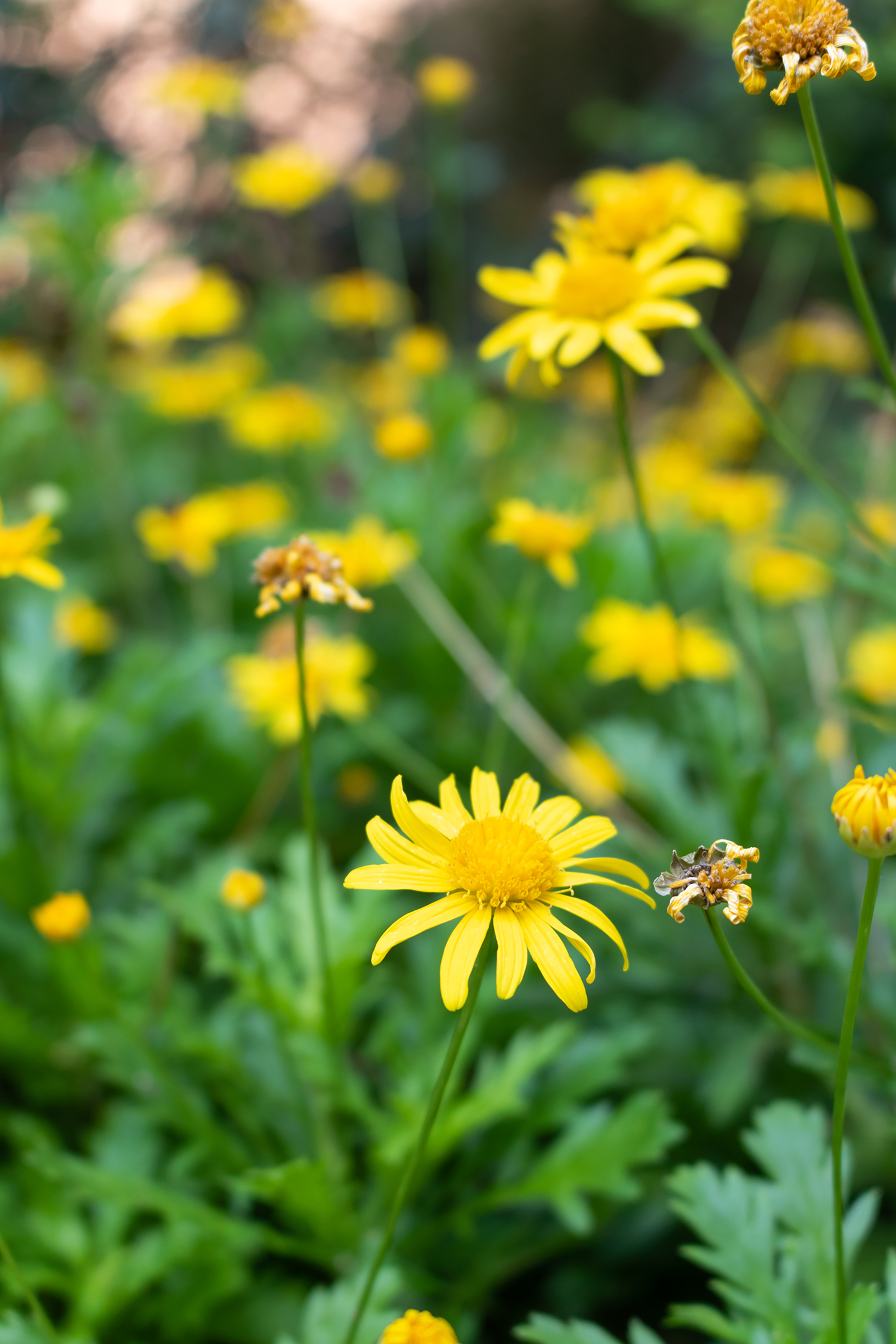 佳能eosr5城市延时视频拍摄体验,佳能eos750d的优缺点