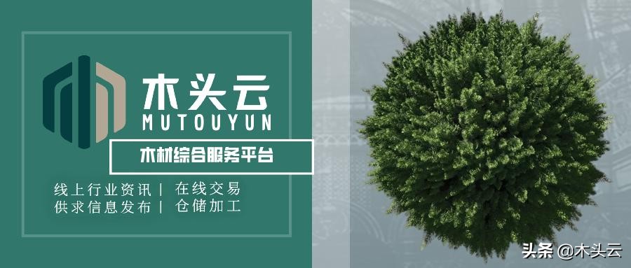 乒乓球拍外置与内置纯木怎么选,做乒乓球拍什么木材好