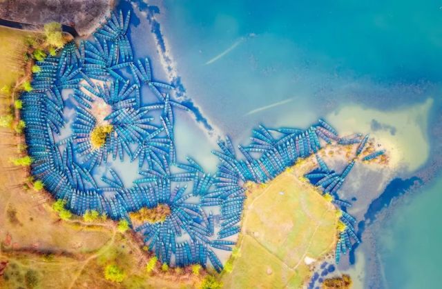 什么是云南品种,什么是云南的特色