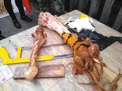 这10种文玩都是违禁品最好别碰,这5种文玩核桃千万不要买