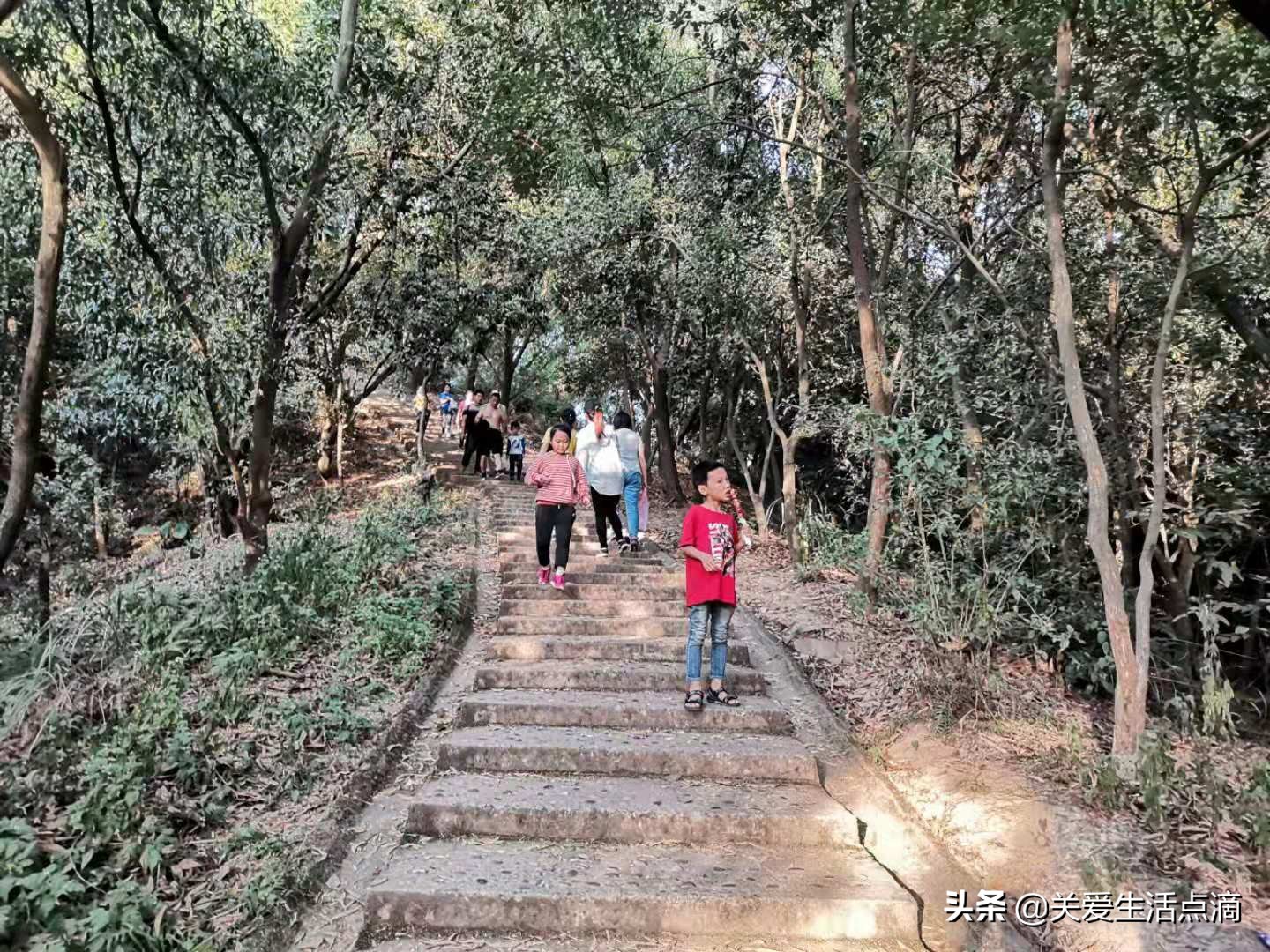 惠州市惠阳区亚公顶森林公园游记,惠阳亚公顶森林公园怎么走