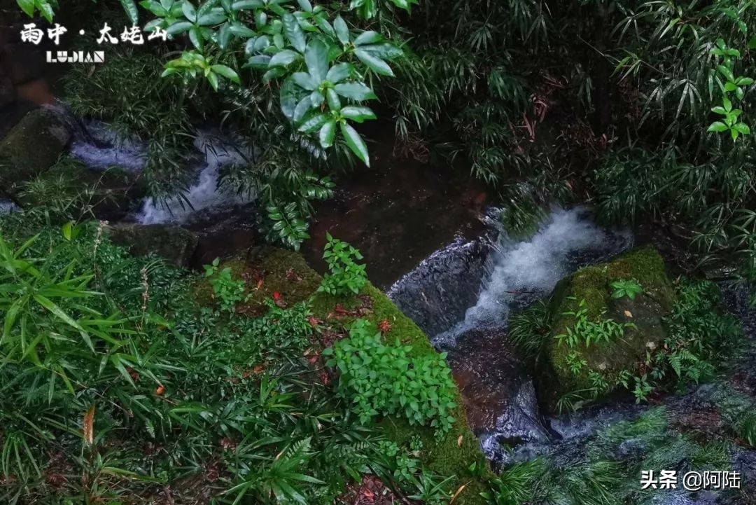 雨中爬太姥山,雨中登太姥山