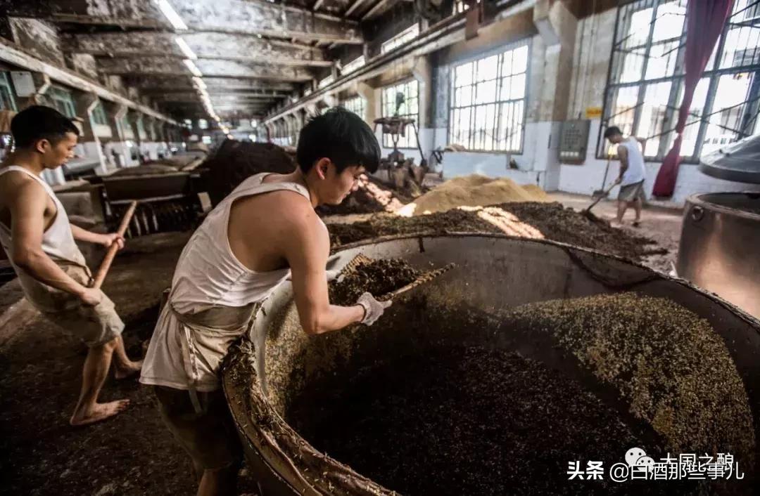 茅台五粮液到底哪个好,茅台五粮液郎酒哪个更好