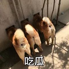 二手影视网站,二手网站在哪里