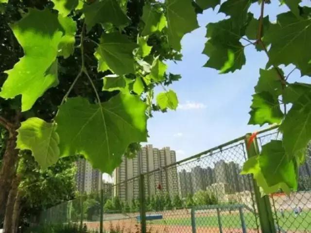 给你十个报考西安理工大学的理由