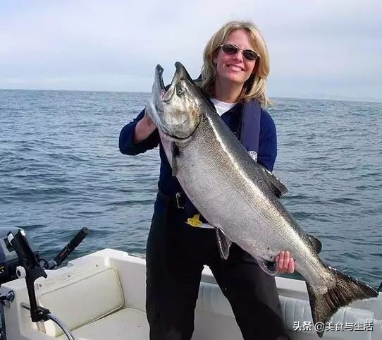 挪威三文鱼怎么挑新鲜,你吃的三文鱼是三文鱼吗