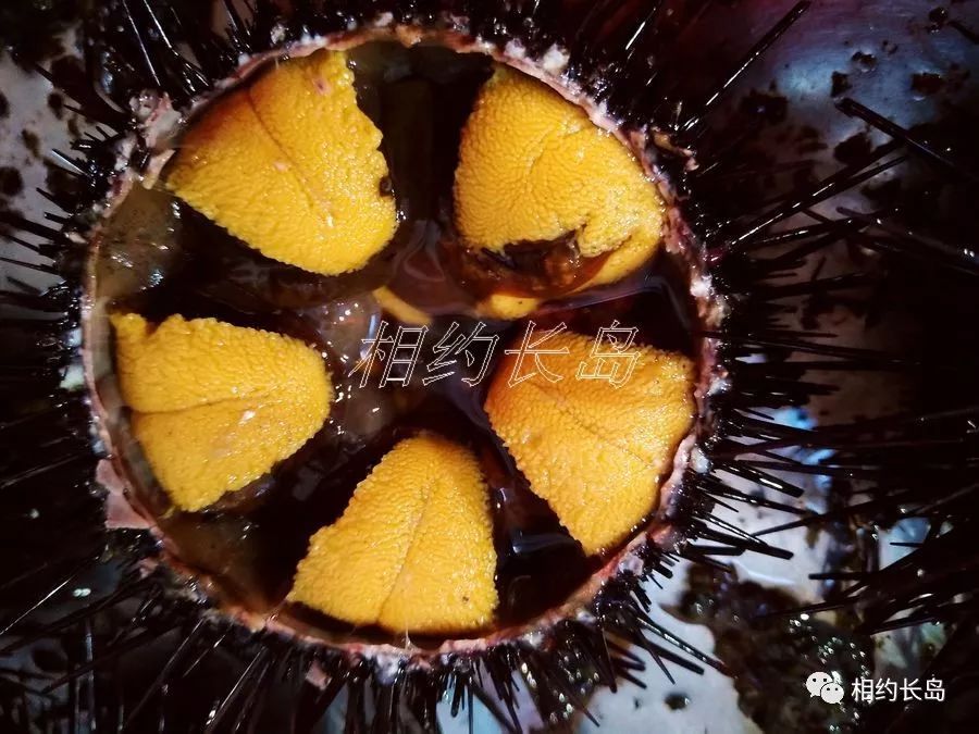 闀垮矝缃戠孩娴烽矞,闀垮矝娴烽矞澶ч鍥剧墖