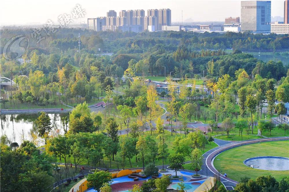 踏青打卡好去处双流空港公园,成都双流的三大新的生态公园